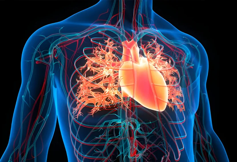 What is Atrial Fibrillation? Causes, Symptoms, And Treatments